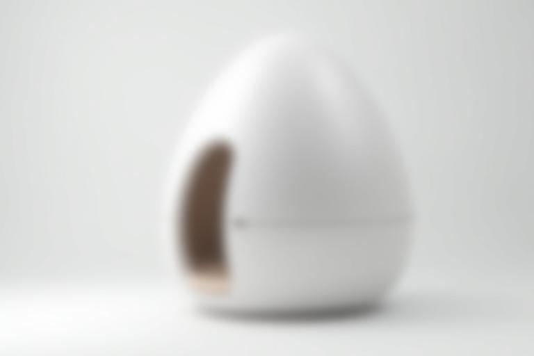 Exterior view of a sleek Somadome meditation pod